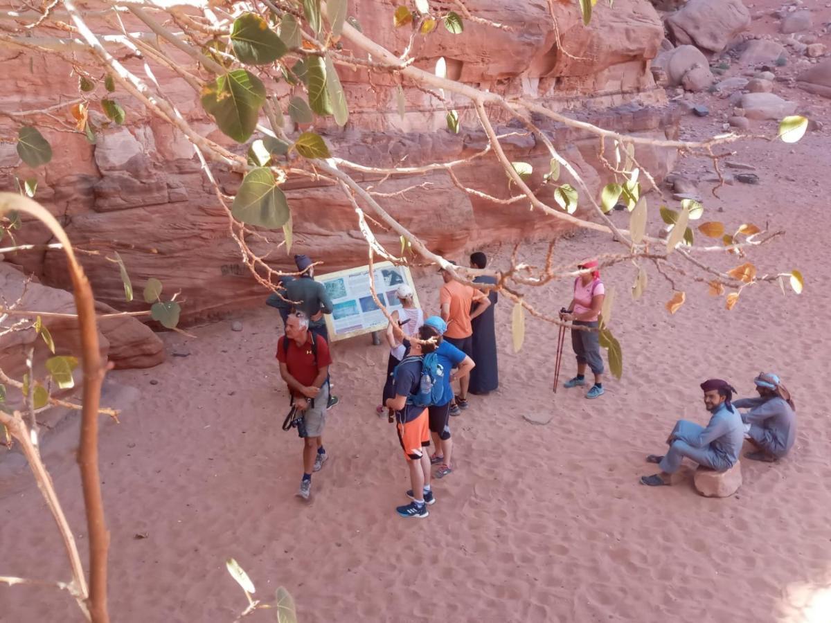 Bedouin Future Camp Hotel Wadi Rum Ngoại thất bức ảnh