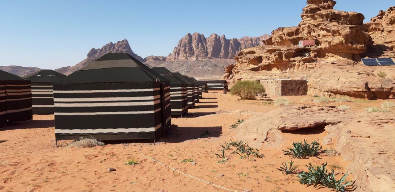 Bedouin Future Camp Hotel Wadi Rum Ngoại thất bức ảnh